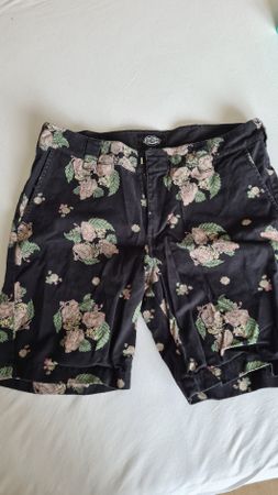 Dickies shorts 34