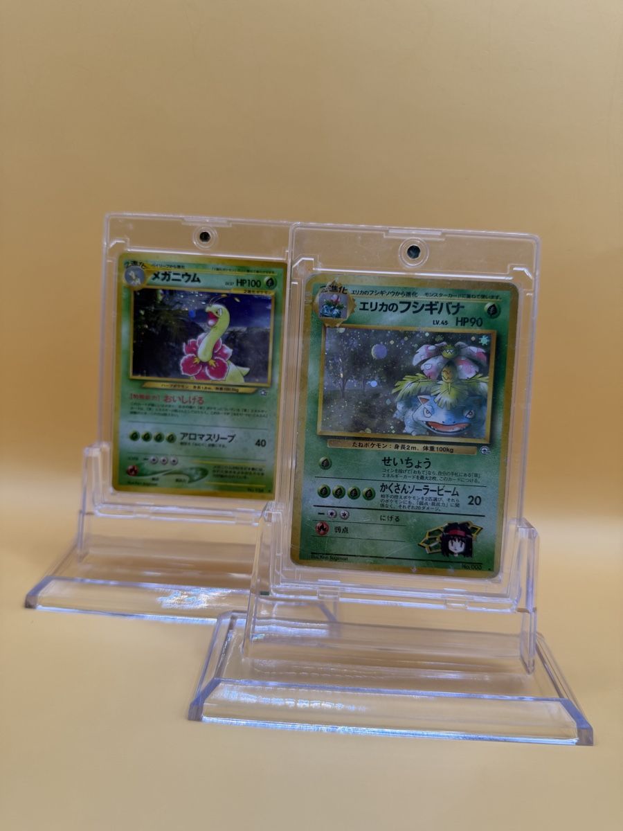 Pokémon Carte collezionabili: Pokemon Karten Meganium & Venusaur – Usato da Wetzikon ZH venduto da KartenKid