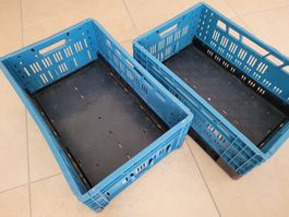 2 stapelbare Klappboxen H 24, B 40, L 60cm