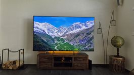 Sony Bravia TV/Fernseher 85 Zoll
