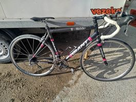 Vélo Giant - carbone