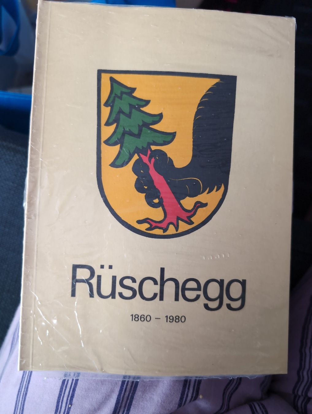 Bücher: Geschichte Rüschegg 1860-1980 – Neu und originalverpackt aus Bern von berneroberlaenderin