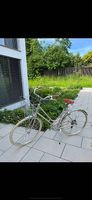 Neues Siech Comfy (8 Speed) Titanium