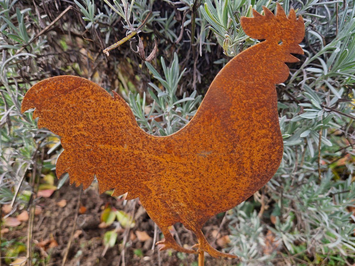 Tutte le decorazioni: Hahn & Henne Rost 60cm – Nuovo e nell'imballaggio originale da Matzendorf venduto da Gartendeko-Shop 2