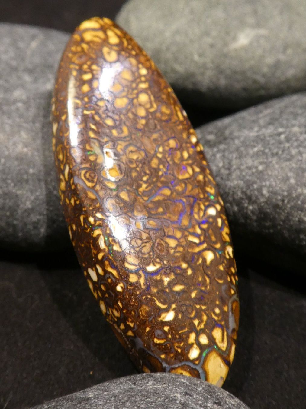 Pietre preziose: Yowah Opal Handschmeichler – Nuovo e nell'imballaggio originale da Niederbüren venduto da Raphael014 4