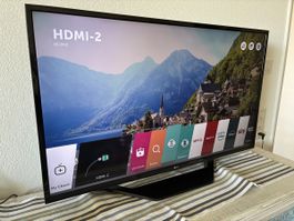 LG LED Fernseher 43 Zoll