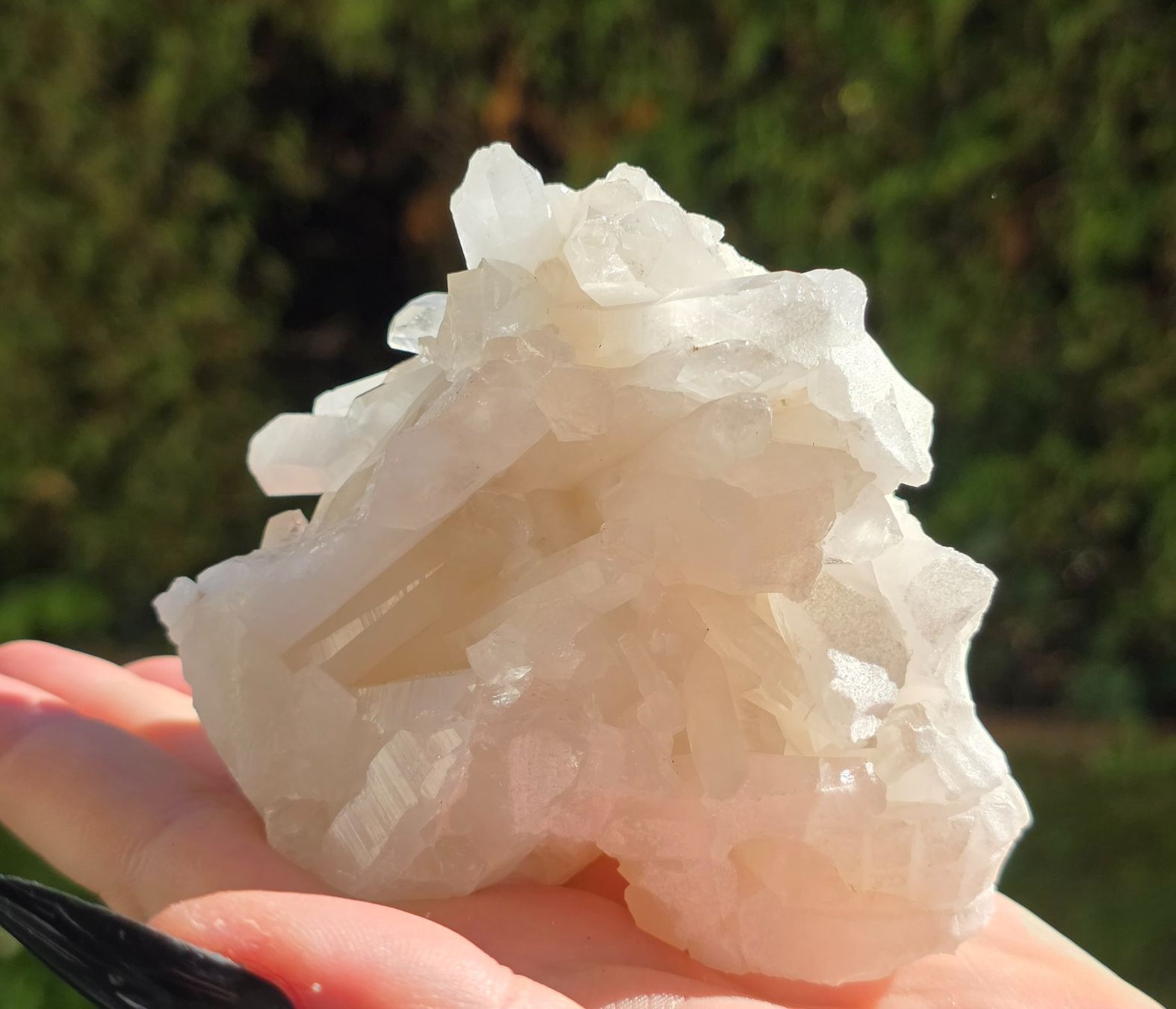 Minerali & Pietre curative: Quarz Schädel 376g – Nuovo e nell'imballaggio originale da Matzingen venduto da Shay_Crystalz