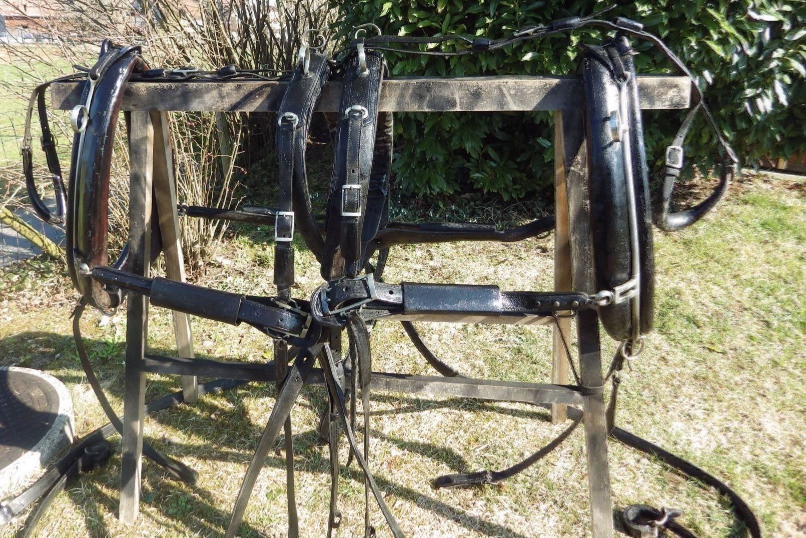 Carrozze: 1 Paar englische Kummetgeschirre – Usato da Feldbach venduto da Fea1 3