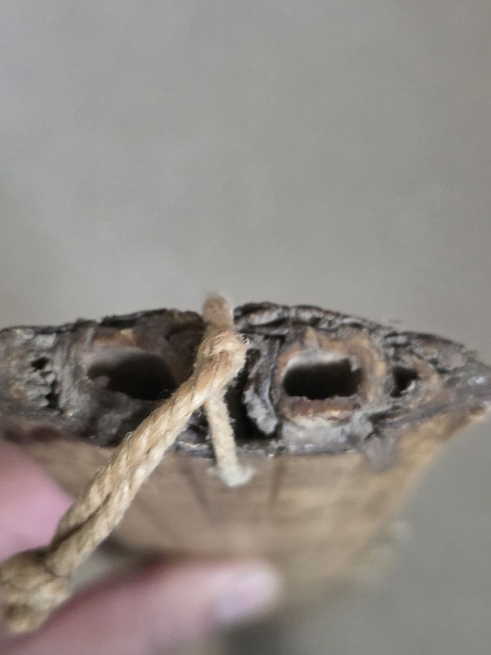 Fossili: Sägerochen Schwertfisch – Usato da Bern venduto da Kocholo 2