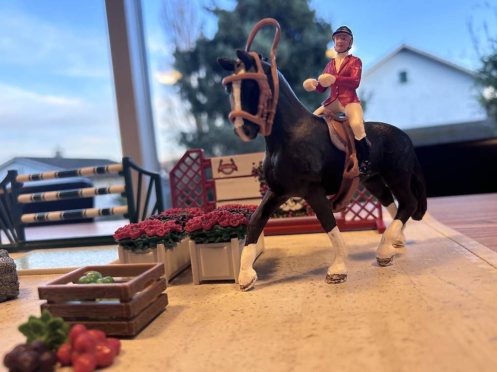 Giocattoli: Schleich Springreiter – Usato da Allschwil venduto da zena06 3