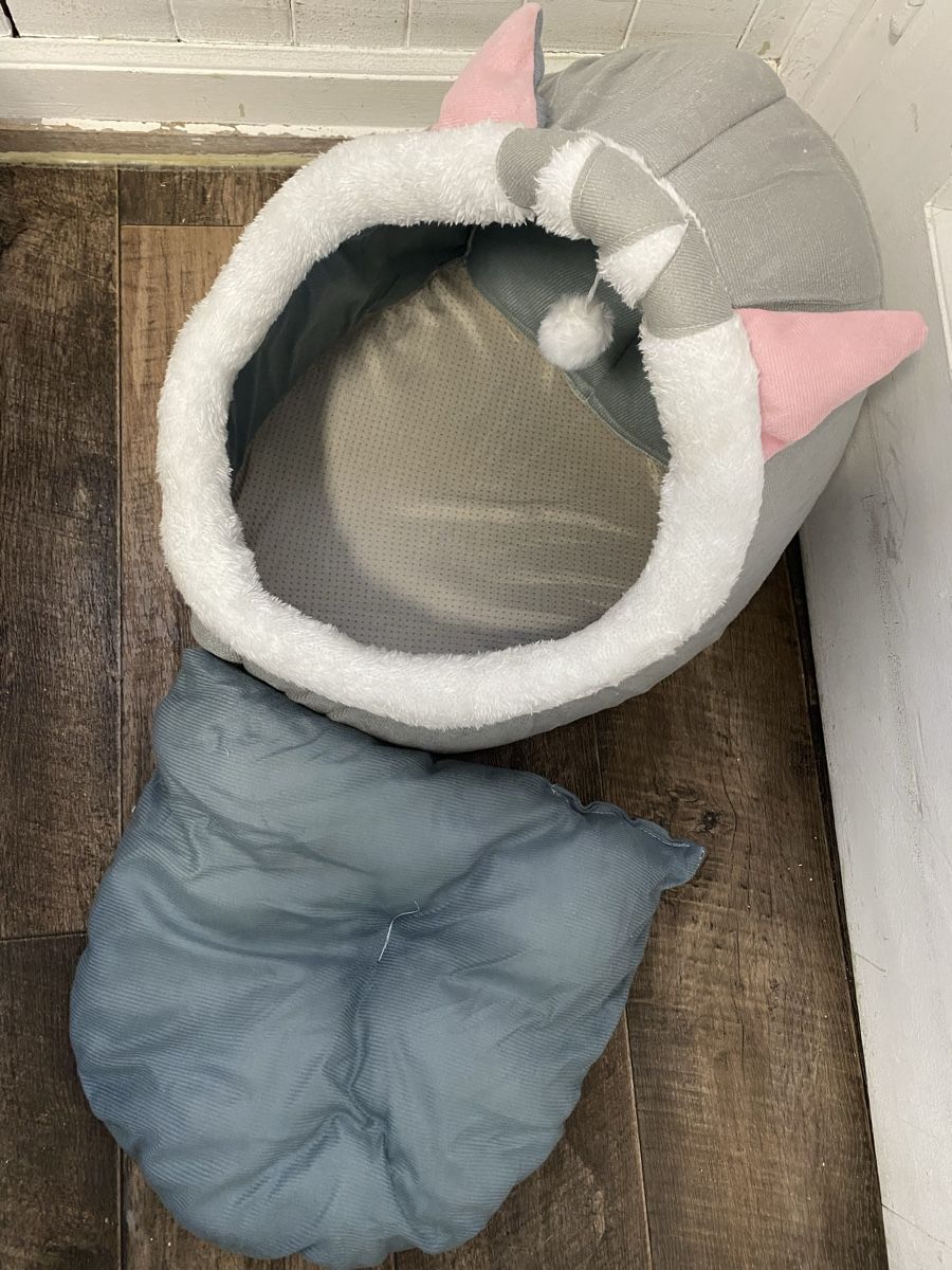 Cucce & Letti: Katzen/kl.Hundebett – Nuovo (secondo la descrizione) da Seewen SZ venduto da shaky01 2