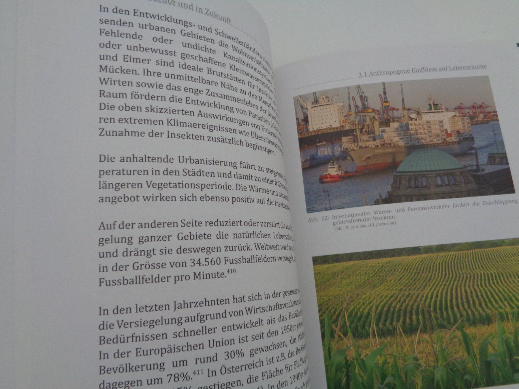 Libri: Warum jede Fliege zählt – Usato da Chur venduto da omonia 5