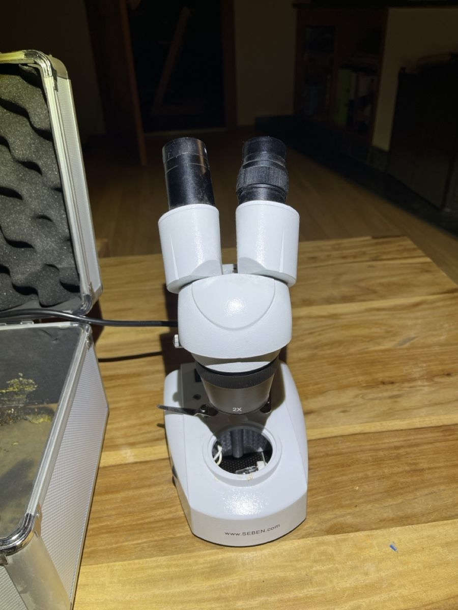 Microscopi: Binokular – Usato da Siebnen venduto da Sweetrevenge 1