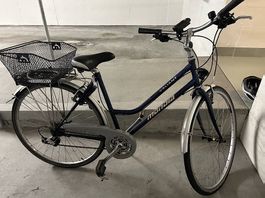 Damen Velo 