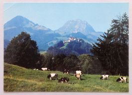 Au fond la Ville de Gruyères