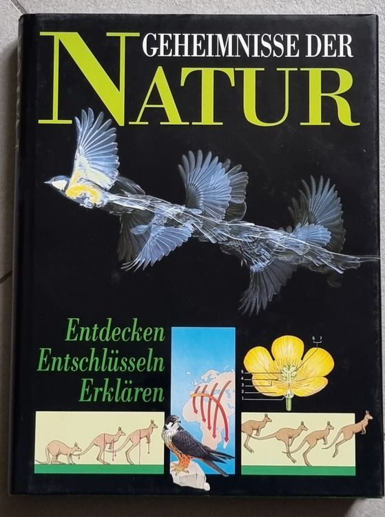 Die Senne Geheimnisse Der Natur Und Ihre Offnungszeiten Wann Ist Der Beste Zeitpunkt Fur Ihren Besuch