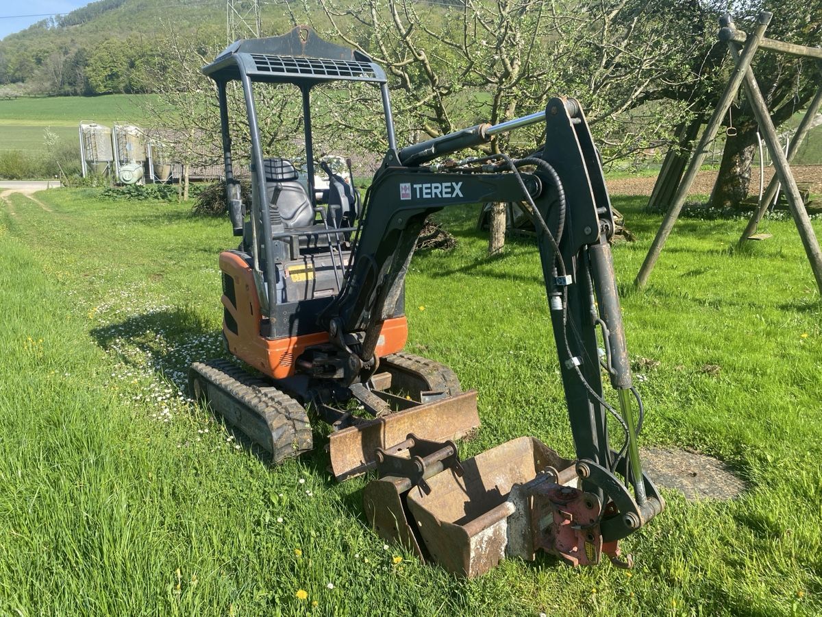 Terex Bagger: Terex TC 19 Kleinbagger mit Powertilt – Gebraucht aus Gipf-Oberfrick von Fricktaler1803 1