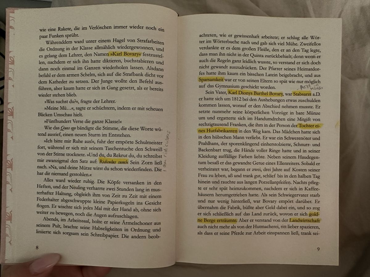 Libri: Madame Bovary Deutsch – Nuovo (secondo la descrizione) da Mettmenstetten venduto da ali_rz8t 1