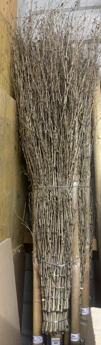 Altro in Apparecchi per la pulizia: 10er Pack Bambus-Besen – Nuovo e nell'imballaggio originale da Hölstein venduto da Moserei14