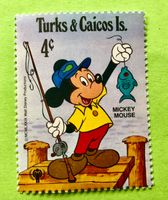BRIEFMARKEN AUS Turks- und Caicosinseln Internationales Jahr