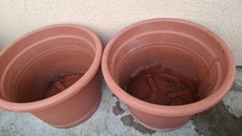 Cilindro terra kunststoff Blumentopf set. Je. 40l.