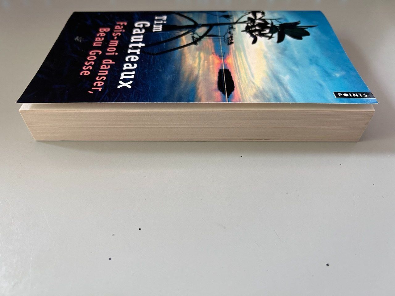 Libri: Libro "Fais-moi danser, Beau Gosse" Tim Gautreaux – Usato da Giubiasco venduto da LorisVale 3