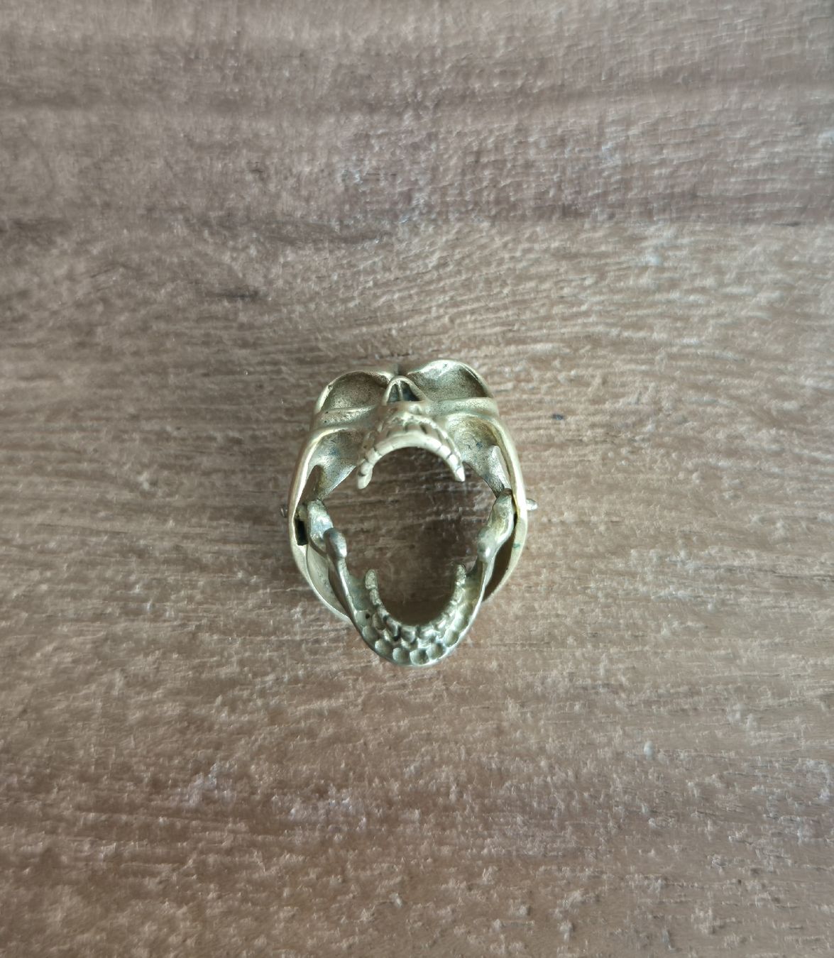 Anelli: Totenkopf Ring beweglich Bronze – Usato da Zürich venduto da Dalema13 3