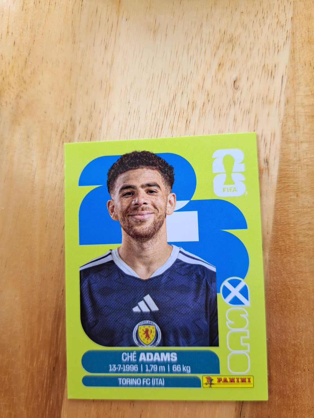 Panini Cartes à collectionner: Panini FIFA World Cup SCO 19 – Neuf (Voir description) à Waldenburg par Sysilu