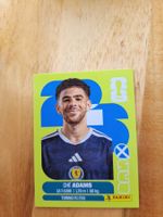 Panini FIFA World Cup SCO 19