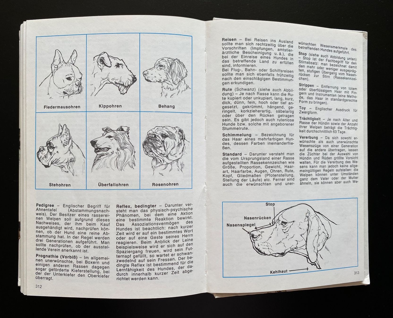Libri: HUNDE LEXIKON – Usato da Nussbaumen AG venduto da schuba2000 4