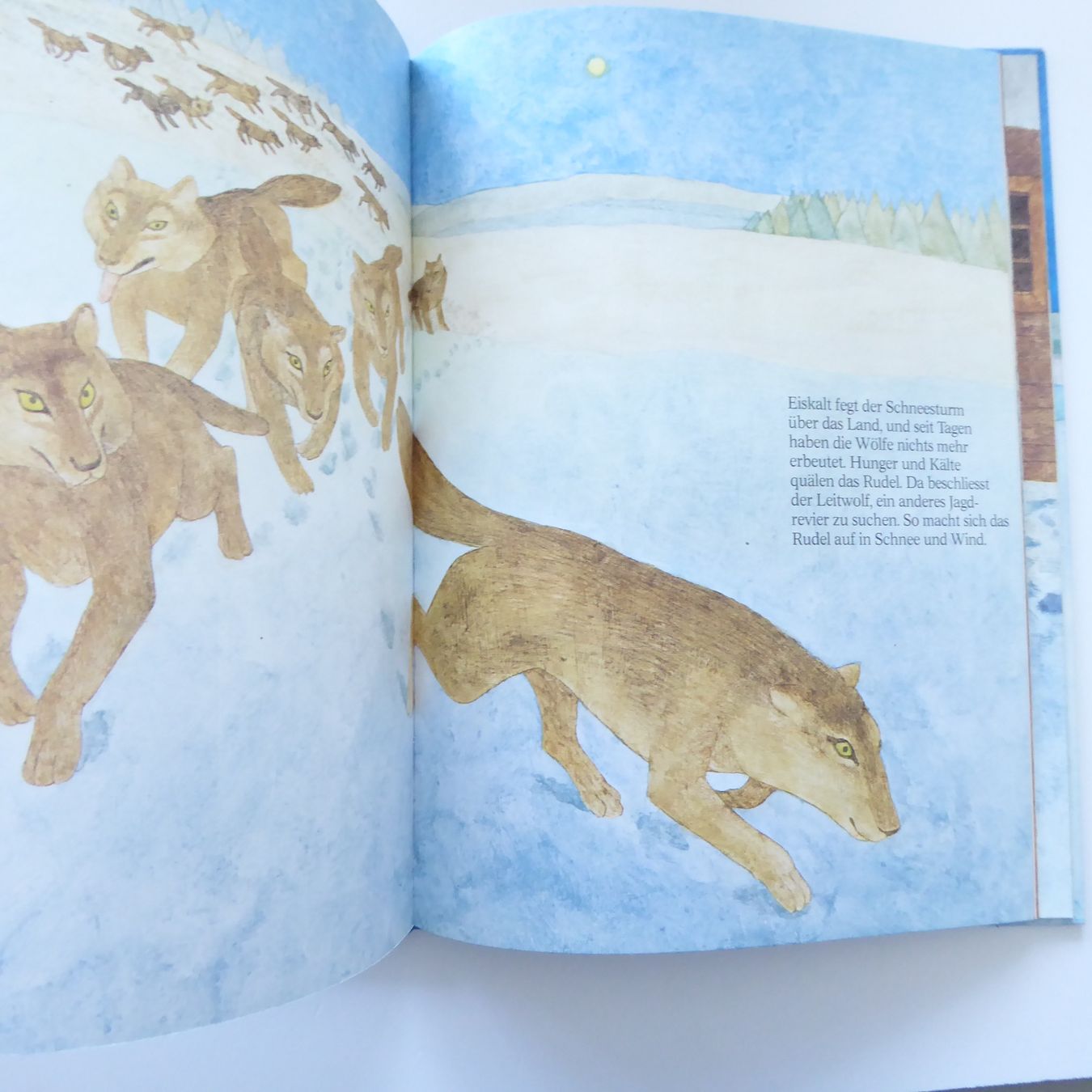 Libri: Mach's gut kleiner Wolf - Eleonore Schmid – Usato da Basel venduto da Kunterbunt12 3