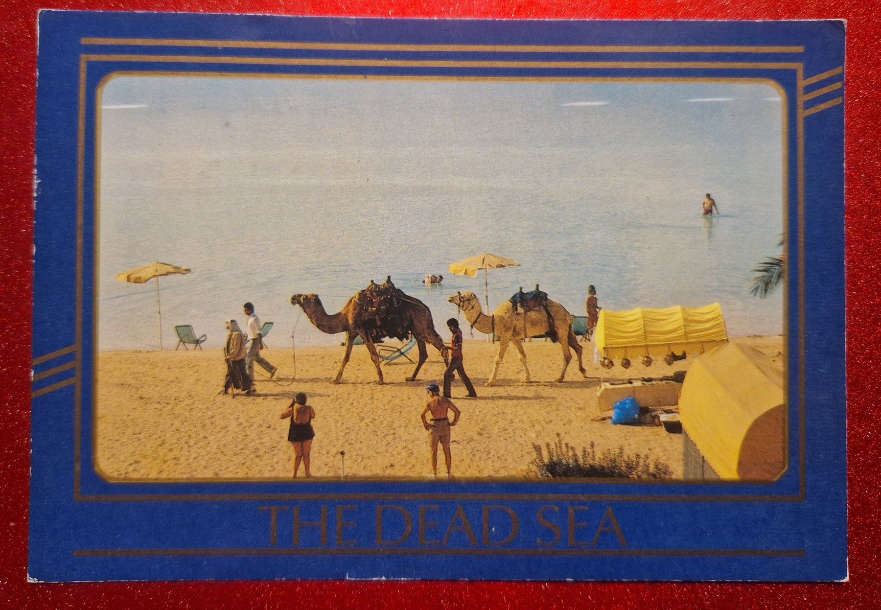 Cartoline postali: The Dead Sea Totes Meer 1991 – Usato da Melchnau venduto da Arthurius