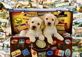 Bluebird Puzzle "Zwei Reisende Welpen" 1000 Teile