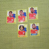 Panini