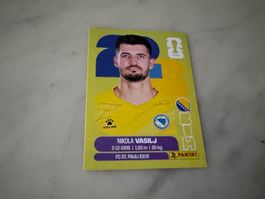 Panini Fifa Fussball WM 2026 Sticker Nikola Vasilj BIH 2