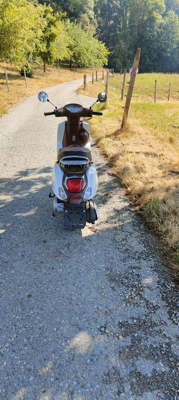 Tell Scooter: Roller  Tell Zahara – Usato da Wiedlisbach venduto da faz_9fcr 1