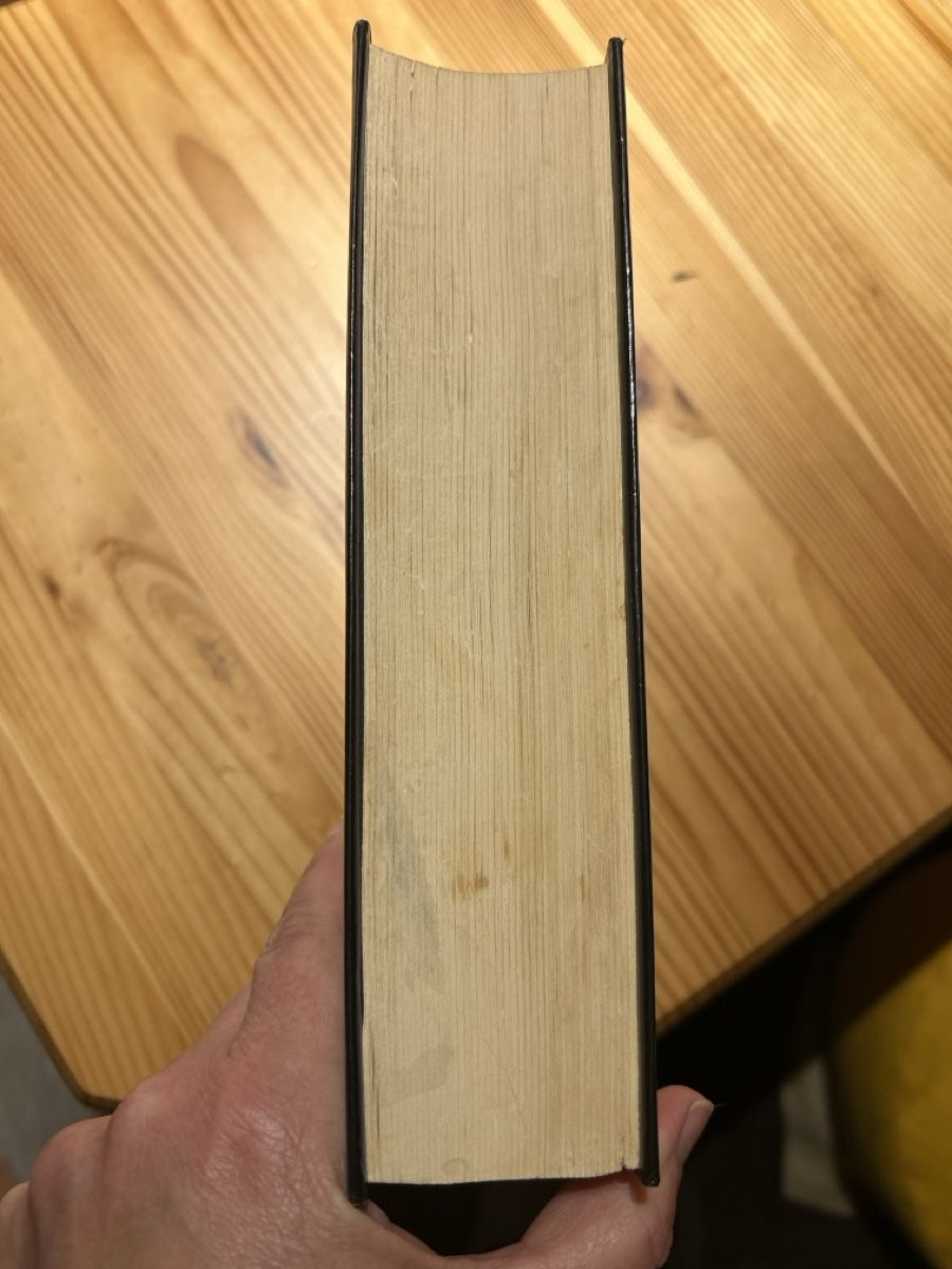 Libri: Stephen King: Feuerkind / Cujo – Usato da Brunnen venduto da Liluzick 2