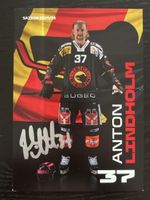 SC Bern Anton Lindholm Autogrammkarte Saison 2025/26