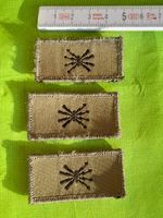 Dienstzweigabzeichen der Führungsunterstützungstruppen