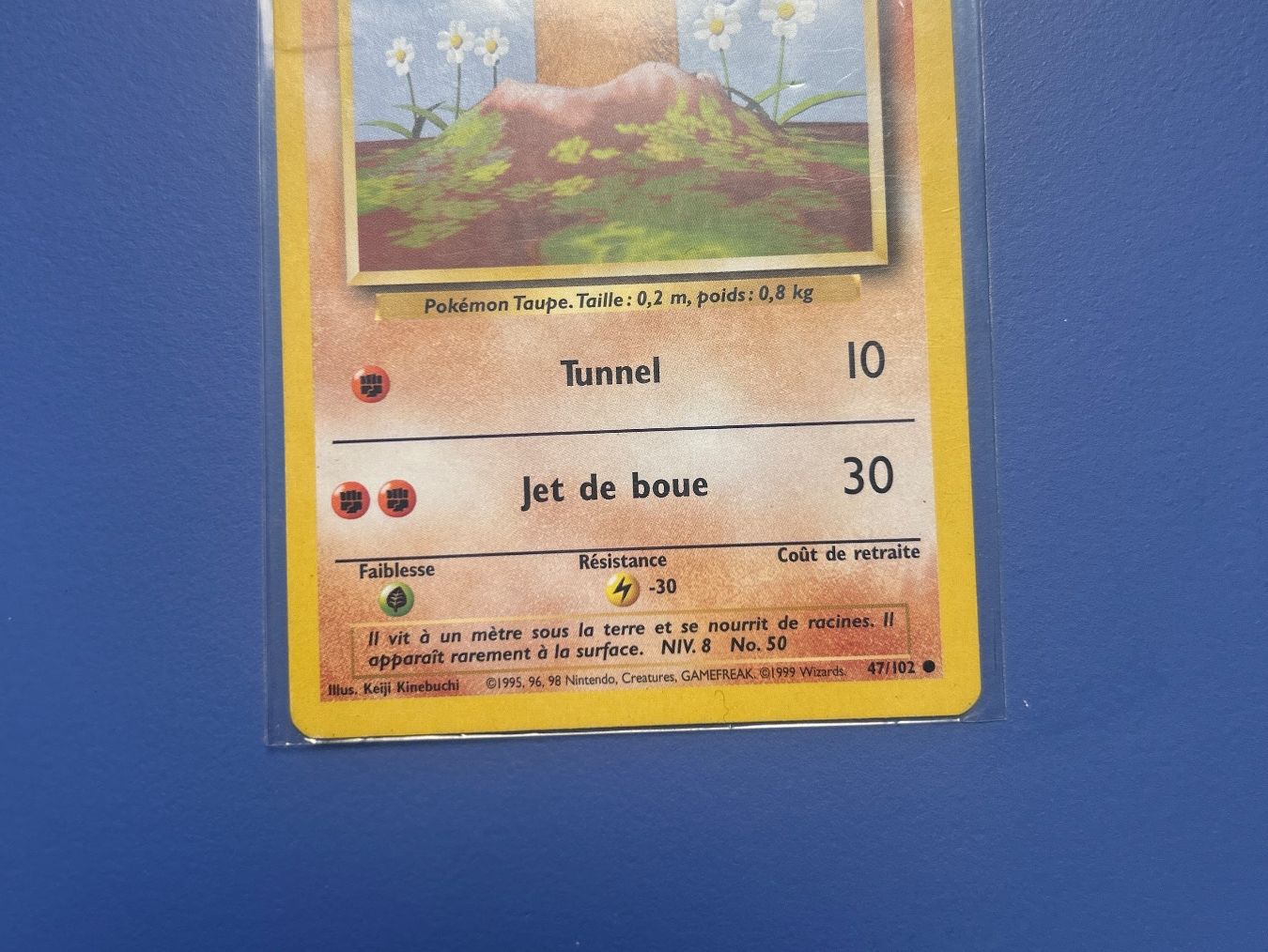 Pokémon Carte collezionabili: 1999 Taupiqueur 47/102 Set de base FR – Usato da Schlieren venduto da happymerchant64 3