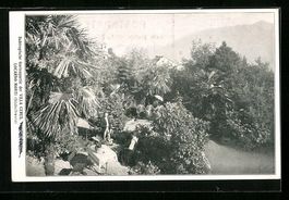 Locarno-Monti, Subtropische Gartenpartie