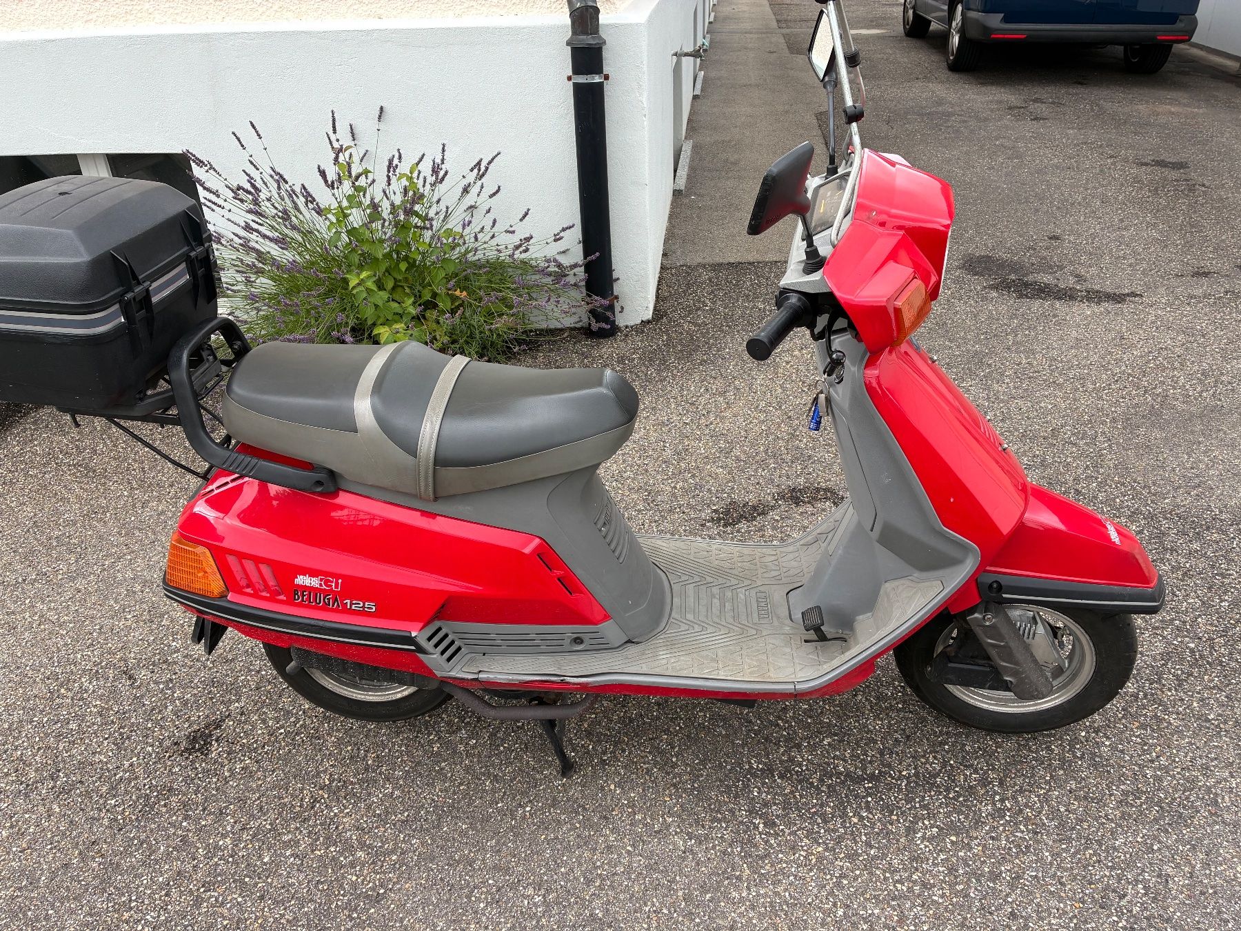 Yamaha Scooter: Yamaha Beluga 125 ab mfk – Usato da St. Gallen venduto da zx10r 1