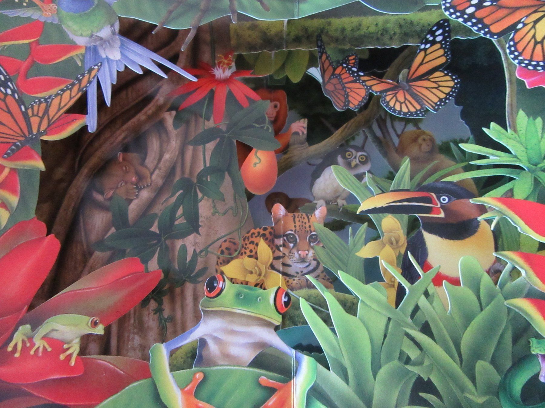 Libri: Pop - Up Buch " Foreste Tropicali " – Usato da Rüdtligen venduto da Carfield04 3