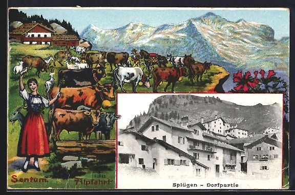 Ansichtskarten: Splügen, Häuser im Ort, Senntum, Alpfa – Gebraucht aus Berlin von bartko-reher