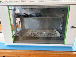 Digitus 7HE Dynamic Basic Serverschrank