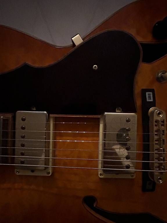 Strumenti musicali: Ibanez AF125-AMB Artcore – Usato da Plan-les-Ouates venduto da den_mkx5 4