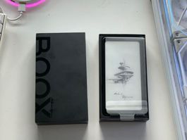 Onyx Boox Palma