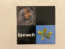 Bleach LP - Bleach