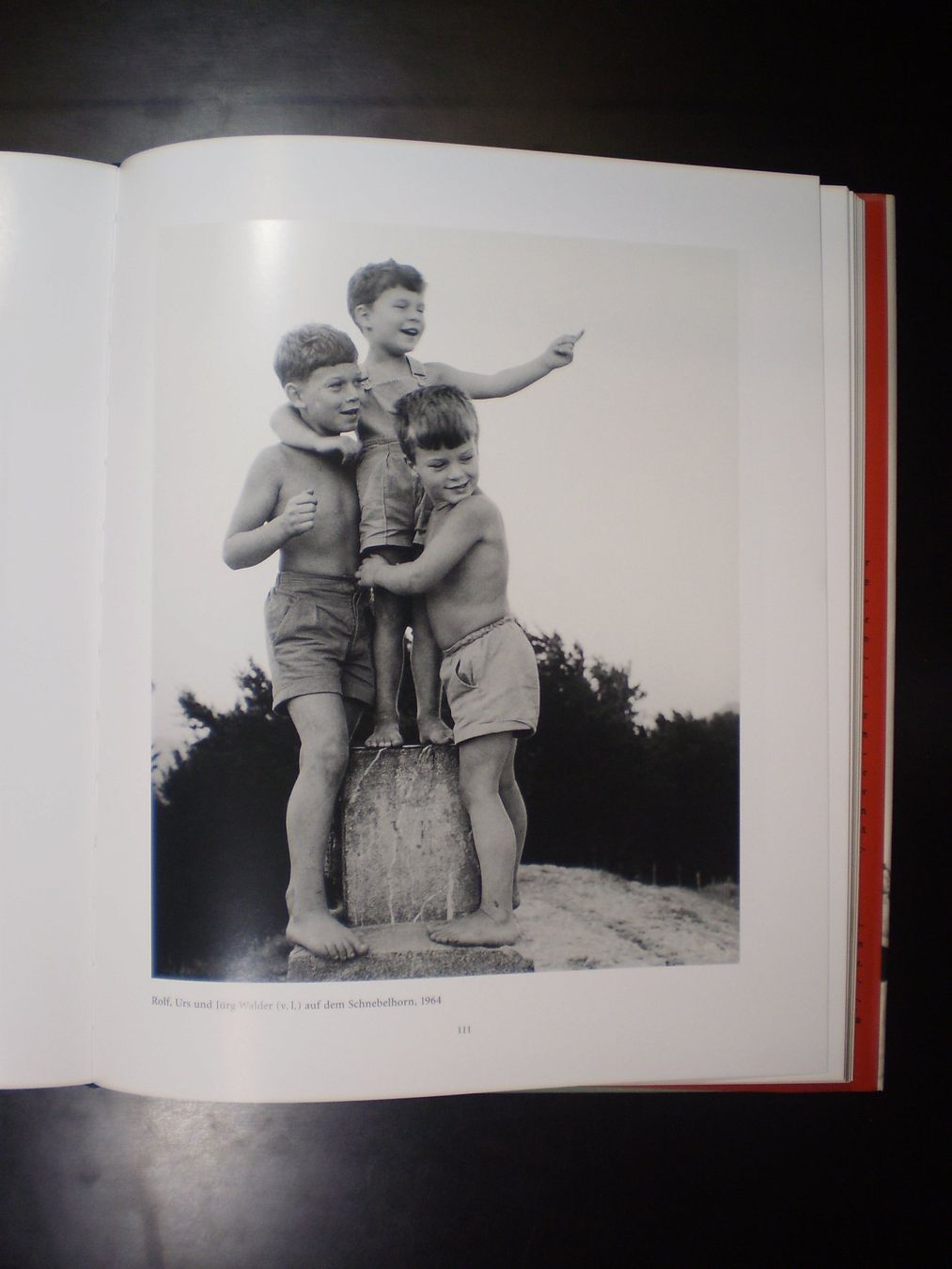 Bücher: Rea Brändle: Albert Walder. Fotografien – Neu und originalverpackt aus Lenzburg von strebeck 1