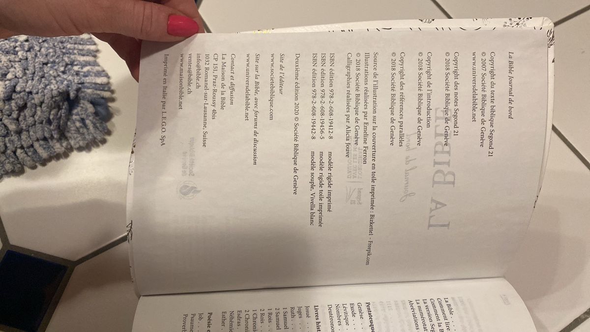 Libri: Bible journal de bord – Nuovo (secondo la descrizione) da Epagny venduto da nie_n5yb 1